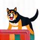 Agility training icon